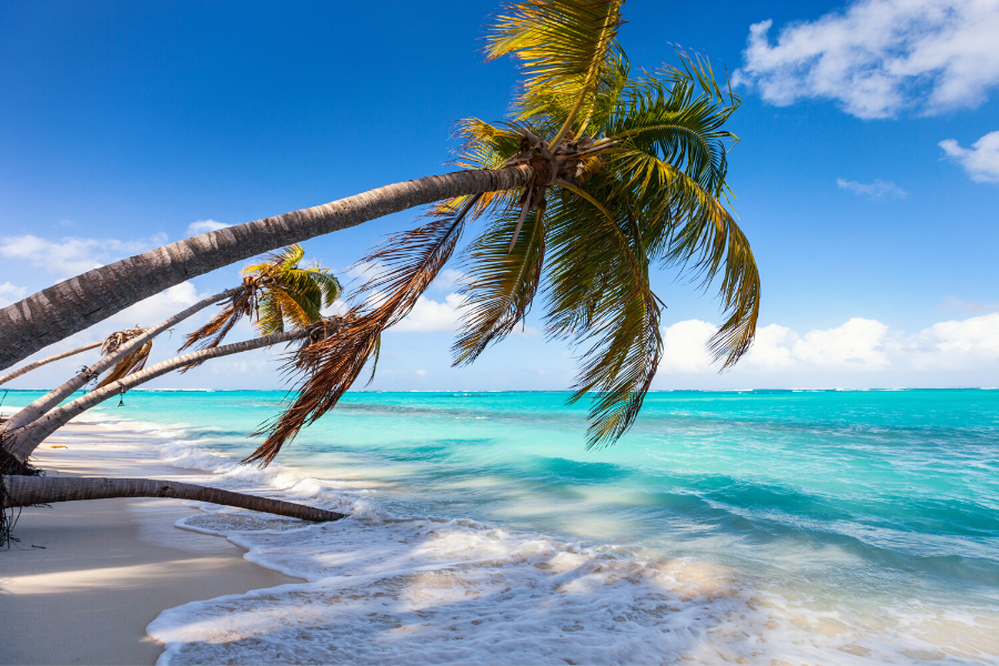 Day 2 of the Caribbean Carnival sailing trip